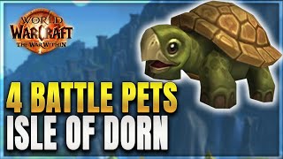 The War Within All 4 Battle Pet Locations amp How to Get Them  Isle of Dorn [upl. by Rese]