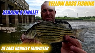 S08E80 Purposely Fishing for Yellow Bass Lake Barkley Tailwater [upl. by Afnin]