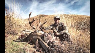 HUNTING WITH A PURPOSE Solo Mule Deer Hunt [upl. by Greenwood]