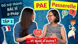 Hành nghề Y tại Pháp  Tập 3 PAE Passerelle Dispense d’études🩺🇫🇷 Để hành nghề Y tại Pháp [upl. by Tommy]