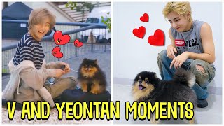 BTS V And His Dog Yeontan Cute Moments Feat Rocky [upl. by Macintyre634]