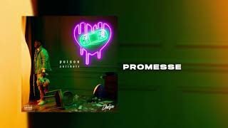 DADJU  Promesse Audio Officiel [upl. by Nnylhtak]