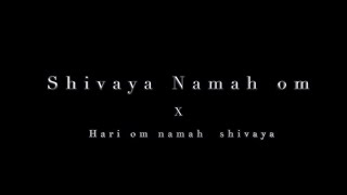 Shivaya Namah Om ft Hari Om Namah Shivaya  Yashil Thacoor  Dark Media Production [upl. by Jeth]