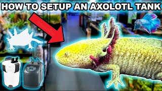 I SHOW YOU HOW TO SETUP AN AXOLOTL TANK THEN THIS HAPPENED [upl. by Rednaxela883]