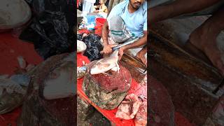 Rohu fish Cutting Skills 😱 part337 shorts [upl. by Landrum]