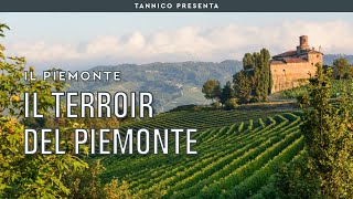 I vini piemontesi e il segreto del terroir  Tannico Flying School [upl. by Liddle]