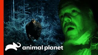 Matt Moneymaker Chases After Potential Bigfoot In Iowa Woods  Finding Bigfoot [upl. by Aseral]