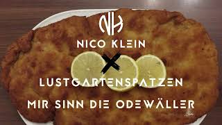 Nico Klein x Lustgartenspatzen  Mir sinn die Odewäller [upl. by Aracot]