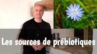 Les prébiotiques  dans quelles plantes en trouver comment les utiliser [upl. by Nnylireg923]