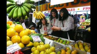 The Kransky Sisters come to Adelaide with A Cracker Kransky Christmas 30 Nov 2024 [upl. by Namzaj104]