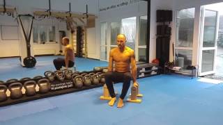 Parallettes bars exercises [upl. by Gamali]