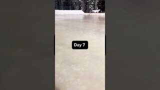 Day 7 of making an ice rink [upl. by Rather191]