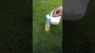 Make best plant bugs mosquito cockroach spray at home mosquitokiller cockroachkiller [upl. by Ayikan]