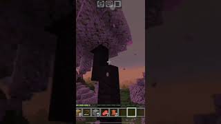 秒速五厘米 minecraft 我的世界 [upl. by Broderick]