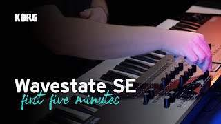 Unlock the Korg Wavestate SE  your first five minutes [upl. by Samella625]