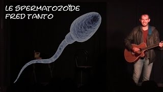 LE SPERMATOZOIDE Live  FRED TANTO [upl. by Jolie614]