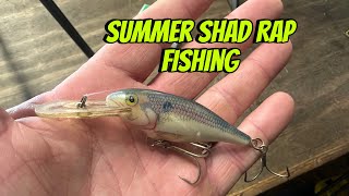 When The Shad Rap Outfishes ANY Other Crankbait In The Summer… [upl. by Ardena]