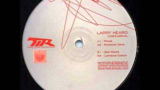 Larry Heard Praise [upl. by Okiek]