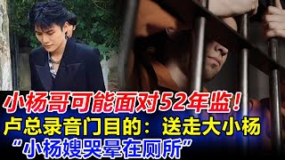 小杨哥跪求辛巴饶恕，52 年刑期威胁三只羊！美诚月饼案后续，卢文庆大爆猛料，大杨嫂深夜恳请放过大小杨。三只羊 小杨哥 卢文庆 美诚月饼辛巴 [upl. by Kloman614]