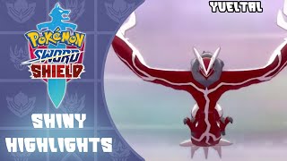 Shiny Yveltal REACTION  Pokemon Sword and Shield [upl. by Kleon]