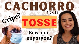 Cachorro tossindo como se estivesse engasgado l Como identificar e como tratar [upl. by Acitel]