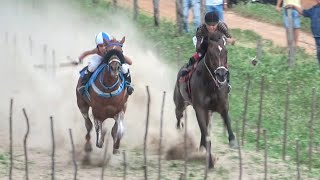 CORRIDA DE CAVALOS em Alegrete do Piauí 2023 [upl. by Jac997]