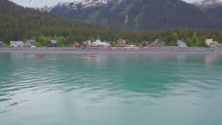 Kayaking Tour Resurrection Bay Seward Alaska [upl. by Jewett277]