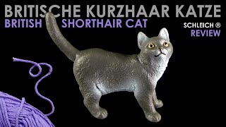 Schleich ® Britische Kurzhaar Katze  British Shorthair Cat  Review  Neuheit 2024 New [upl. by Elocon923]