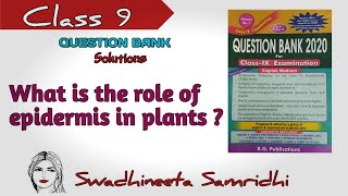 What is the role of epidermis in plants  Tissue class 9Science  Talks with Swadhineeta [upl. by Roydd462]