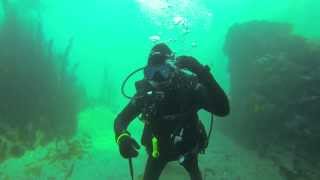 Close call Scuba Diving in Southern California [upl. by Elmo818]