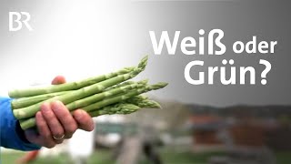 Ist grüner oder weißer Spargel gesünder  Gemüse  Ernährung  Gesund  BR [upl. by Eldwin]