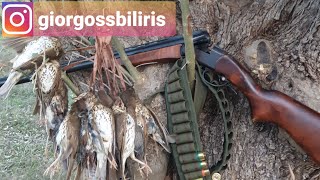 Κυνήγι ΤσίχλαςΤα επιστρόφια Ξεκίνησανhunting turdus [upl. by Hazel9]