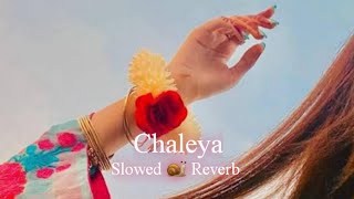 Chaleya  Slowed 🐌 Reverb  Babul Textaudio Music 🎶 [upl. by Atinuaj]