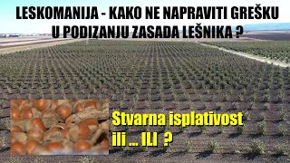 LESKOMANIJA totalno OBJAŠNJENO gde su PRAVLJENJE GREŠKE u podizanju zasada LEŠNIKA i kako ISPRAVITI [upl. by Bendix75]