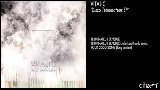 Vitalic  Terminateur Benelux [upl. by Ardnahcal]