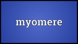 Myomere Meaning [upl. by Katheryn]