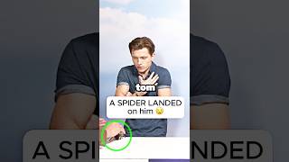 A SPIDER LANDED ON TOM HOLLAND 😭 [upl. by Tebasile]