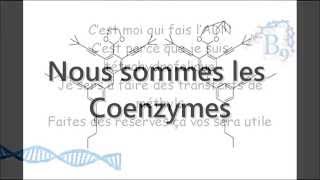 Nous sommes les Coenzymes [upl. by Jasen]