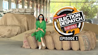 Preeti Choudhrys Election Despatch Haryana Assembly 2024 [upl. by Mosra]