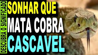 🔥 SONHAR QUE MATA COBRA CASCAVEL O QUE SIGNIFICA SONHAR MATA COBRA SONHAR COM COBRA [upl. by Bartolome]