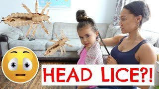 HEAD LICE🐜 18 VLOG [upl. by Liza]