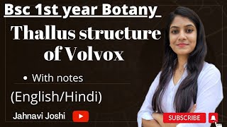 Volvox Thallus Structure NotesBsc 1st year Botany [upl. by English]