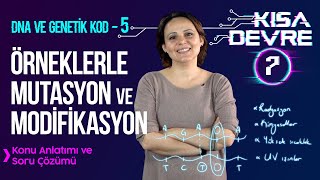 8 Sınıf Fen DNA ve Genetik Kod –5 Mutasyon ve Modifikasyon Örnekleri  Lightboard ile Ders 7 [upl. by Halland]