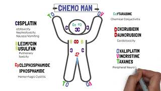 Side effects of cancer drugs  chemotherapy chemotherapeutic drugs side effects  Chemo man [upl. by Aikemat324]