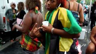 CARNAVAL TROPICAL DE PARIS 2010 DANCEHALL VIBE [upl. by Dryden]