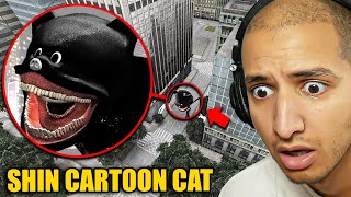 Drone Catches SHIN CARTOON CAT in a City [upl. by Solana443]