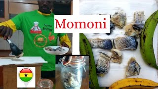 Ghana momoni fish recipe  How to make momone fermented fish [upl. by Odelet]