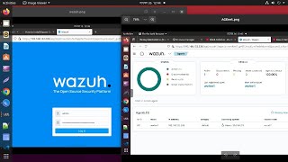 How wazuh agent add ubuntu Install wazuh agent on ubuntu [upl. by Natanhoj967]