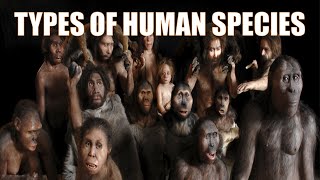 14 Different Types of Human Species  Explained [upl. by Seebeck]