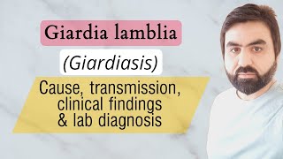 Lec4  Giardia lambliaIntestinalis  Transmission  Pathogenesis  Lab diagnosis  urduHindi [upl. by Moishe]